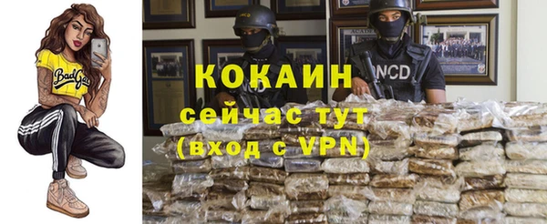 apvp Армянск